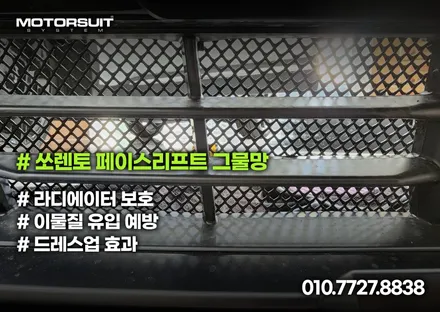 라디에이터 보호 멋진 그물망 쏘렌토 페리에 장착! / 부천, 인천