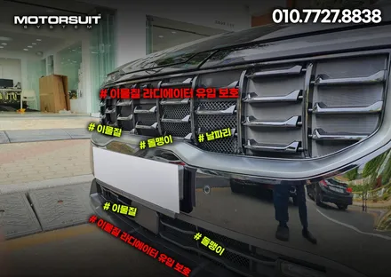 카니발 페이스리프트 4세대 그릴망으로 라디에이터 보호하기 / 부천, 인천
