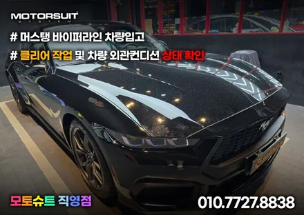 머스탱 남들과는 다른차 바이퍼라인 데칼 작업 / 부천, 인천