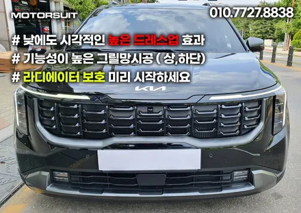 카니발 페이스리프트 4세대 그릴망으로 라디에이터 보호하기 / 부천, 인천