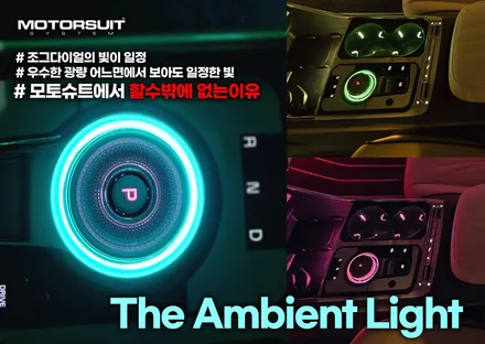카니발 페이스리프트 엠비언트 실내 가득 풀작업 / 부천, 인천