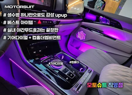 4세대카니발 엠비언트 30곳 튜닝 이런느낌이에요 / 부천, 인천