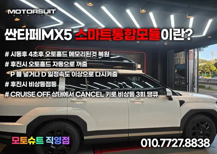 디올뉴싼타페 mx5 스마트통합모듈 근접도어 / 부천, 인천