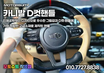 올뉴 더뉴카니발 새들브라운+디컷핸들커버 / 부천, 인천