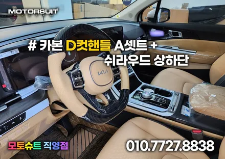 카니발 시그니처 AG 전동사이드스텝 자동차용품 멋있어요 / 부천, 인천