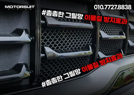 카니발 페이스리프트 4세대 그릴망으로 라디에이터 보호하기 / 부천, 인천