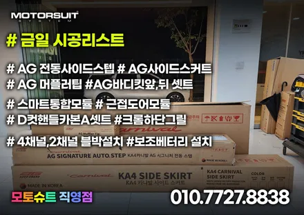 카니발 시그니처 AG 전동사이드스텝 자동차용품 멋있어요 / 부천, 인천