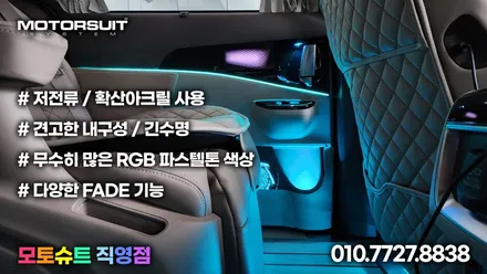 카니발 ka4 cn  엠비언트 주간에도 정말 밝아요 / 부천, 인천