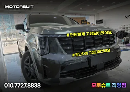 라디에이터 보호 멋진 그물망 쏘렌토 페리에 장착! / 부천, 인천