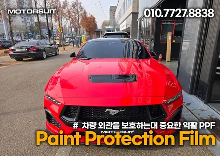 머스탱 포인트 데칼 랩핑 루프스킨 한곳에서 마무리 / 부천, 인천