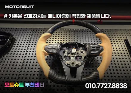 올뉴 더뉴카니발 새들브라운+디컷핸들커버 / 부천, 인천
