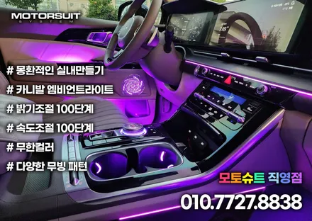4세대카니발 엠비언트 30곳 튜닝 이런느낌이에요 / 부천, 인천