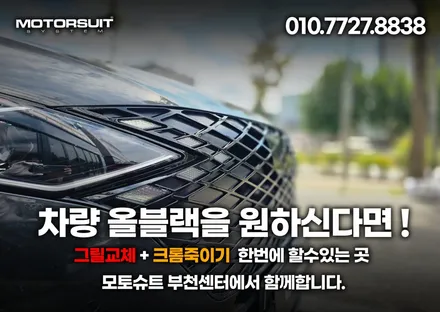 더뉴그랜저 지파츠그릴 블랙 실버 다크크롬 세가지 있어요 / 부천, 인천