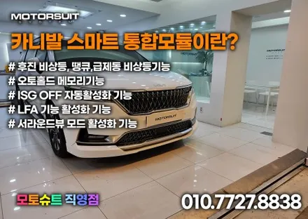 카니발 시그니처 AG 전동사이드스텝 자동차용품 멋있어요 / 부천, 인천