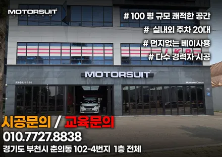 머스탱 남들과는 다른차 바이퍼라인 데칼 작업 / 부천, 인천