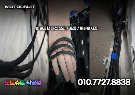 카니발 ka4 cn  엠비언트 주간에도 정말 밝아요 / 부천, 인천