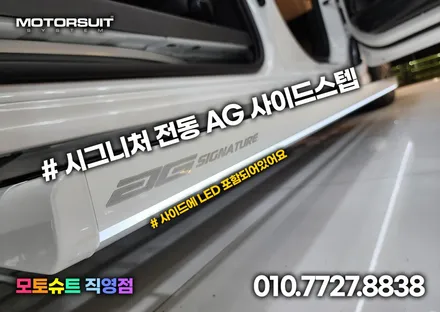 카니발 시그니처 AG 전동사이드스텝 자동차용품 멋있어요 / 부천, 인천