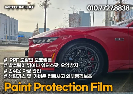 머스탱 포인트 데칼 랩핑 루프스킨 한곳에서 마무리 / 부천, 인천