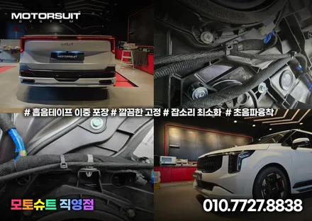 카니발 페이스리프트 엠비언트 실내 가득 풀작업 / 부천, 인천