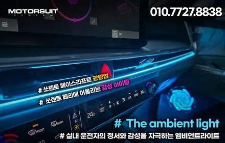 라디에이터 보호 멋진 그물망 쏘렌토 페리에 장착! / 부천, 인천