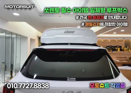 라디에이터 보호 멋진 그물망 쏘렌토 페리에 장착! / 부천, 인천