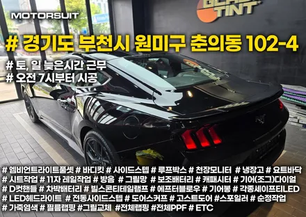 머스탱 남들과는 다른차 바이퍼라인 데칼 작업 / 부천, 인천