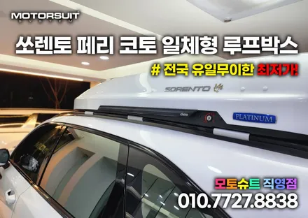 라디에이터 보호 멋진 그물망 쏘렌토 페리에 장착! / 부천, 인천