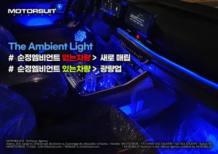 신형 카니발 페이스리프트 엠비언트 풀 튜닝 보여드려요 / 부천, 인천