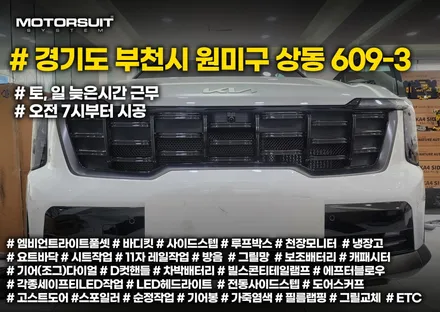 라디에이터 보호 멋진 그물망 쏘렌토 페리에 장착! / 부천, 인천
