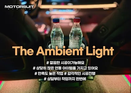 카니발 페이스리프트 엠비언트 실내 가득 풀작업 / 부천, 인천