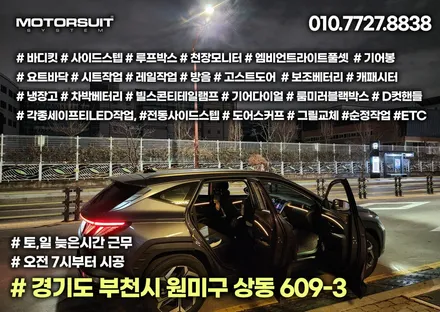 투싼 nx4  엠비언트 기본도어 만해도 아름답고 이쁘다 / 부천, 인천