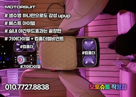 카니발 엠비언트 도어라인 없이 풀셋트  들어보셨나요? / 부천, 인천