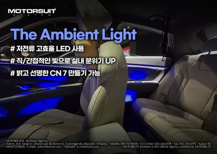 아반떼 두대 cn7 n라인까지 엠비언트 완전 led풀작업 / 부천, 인천