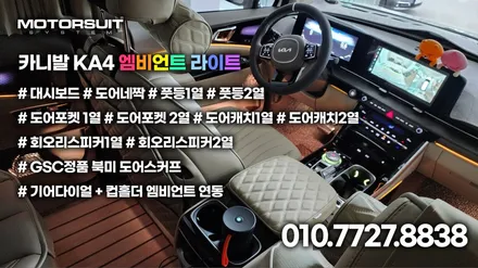 카니발 ka4 cn  엠비언트 주간에도 정말 밝아요 / 부천, 인천