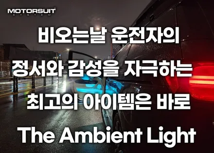 올뉴 더뉴카니발 엠비언트 역대급 인생풀세트 보여드려요 / 부천, 인천