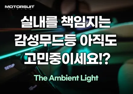 카니발ka4 4세대 엠비언트 라이트 정석 깔끔하게 장착완료 / 부천, 인천