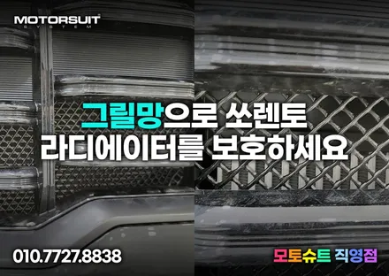 라디에이터 보호 멋진 그물망 쏘렌토 페리에 장착! / 부천, 인천