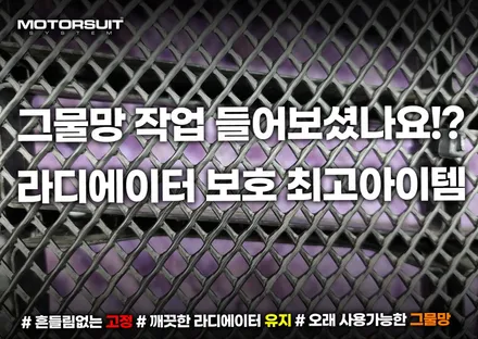 카니발 페이스리프트 4세대 그릴망으로 라디에이터 보호하기 / 부천, 인천