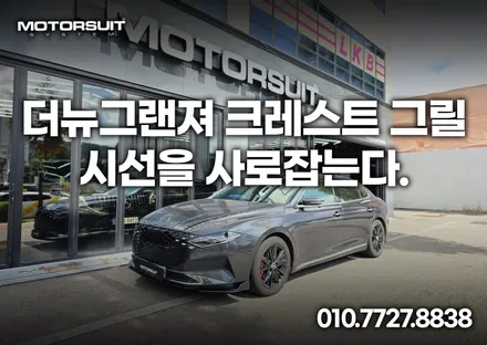 더뉴그랜저 지파츠그릴 블랙 실버 다크크롬 세가지 있어요 / 부천, 인천