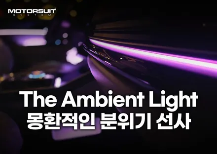신형 카니발 제이에스리무진 엠비언트 로 완성시키다 / 부천, 인천