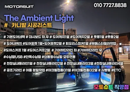 올뉴 더뉴카니발 엠비언트 역대급 인생풀세트 보여드려요 / 부천, 인천