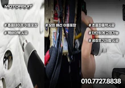 신형 카니발 제이에스리무진 엠비언트 로 완성시키다 / 부천, 인천