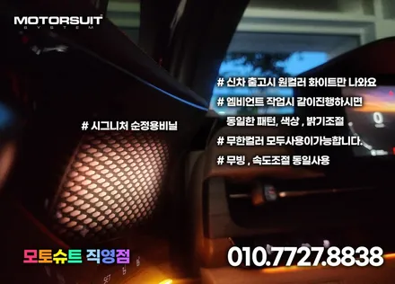 카니발ka4 하이리무진 엠비언트 20곳이상 가능합니다 / 부천, 인천