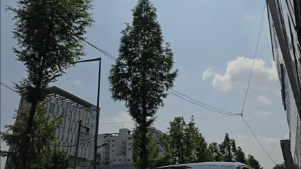 더뉴그랜저ig 올블랙 지파츠 + 그릴이중망까지 드레스업튜닝 / 부천, 인천