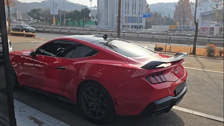 머스탱 포인트 데칼 랩핑 루프스킨 한곳에서 마무리 / 부천, 인천