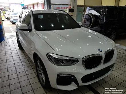 일산 BMW X3 신차에 꼭 필요한 PPF 생활보호패키지 / 고양 일산서구