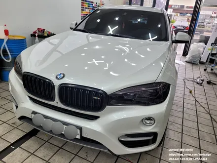 일산 BMW X6 PPF 라이트필름 시공으로 보호와 드레스업을 ... / 고양, 일산, 김포, 파주