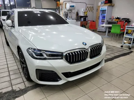 일산PPF BMW 530i 본넷 범퍼 헤드라이트 트렁크리드 PPF 시공 / 고양, 일산, 김포, 파주