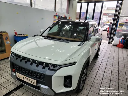 토레스 3m 2080 g12 블랙유광 루프스킨 / 고양, 일산, 김포, 파주