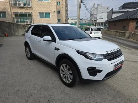 일산 덕이동 디스커버리 스포츠 화이트 전체랩핑 / 고양 일산서구